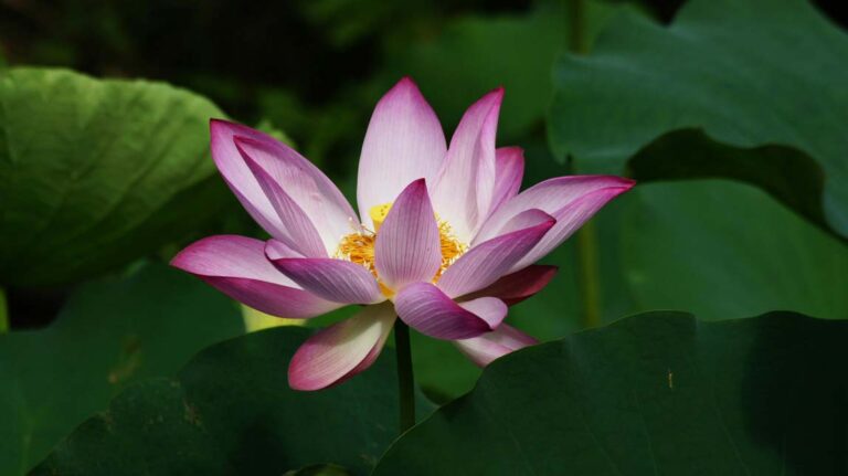 Mis rituales diarios: un amor que ya no es negociable